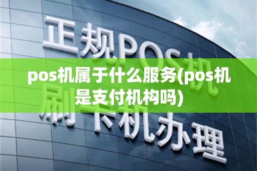 pos机属于什么服务(pos机是支付机构吗)