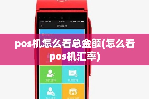 pos机怎么看总金额(怎么看pos机汇率)