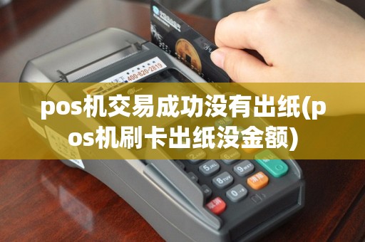 pos机交易成功没有出纸(pos机刷卡出纸没金额)