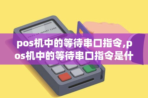 pos机中的等待串口指令,pos机中的等待串口指令是什么