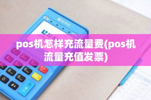 pos机怎样充流量费(pos机流量充值发票)
