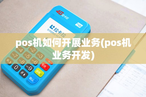 pos机如何开展业务(pos机业务开发)