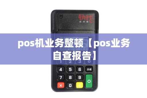 pos机业务整顿【pos业务自查报告】