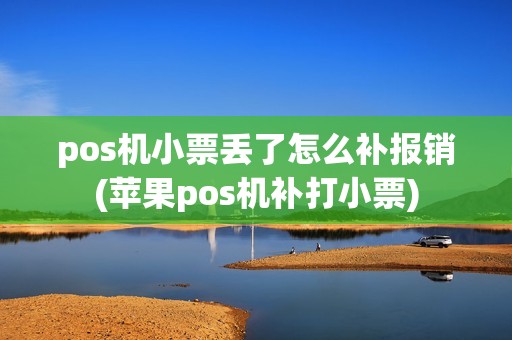 pos机小票丢了怎么补报销(苹果pos机补打小票)