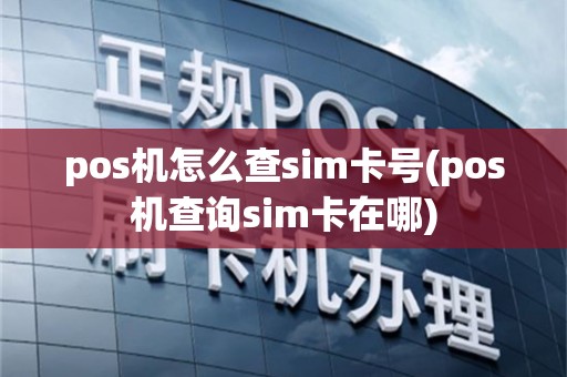 pos机怎么查sim卡号(pos机查询sim卡在哪)