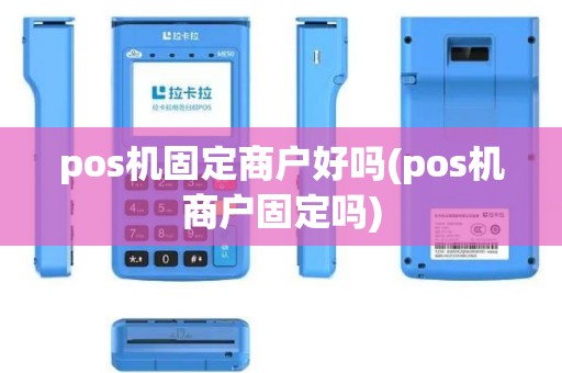 pos机固定商户好吗(pos机商户固定吗)