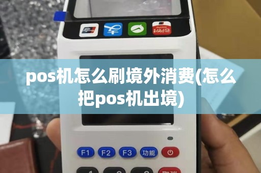 pos机怎么刷境外消费(怎么把pos机出境)