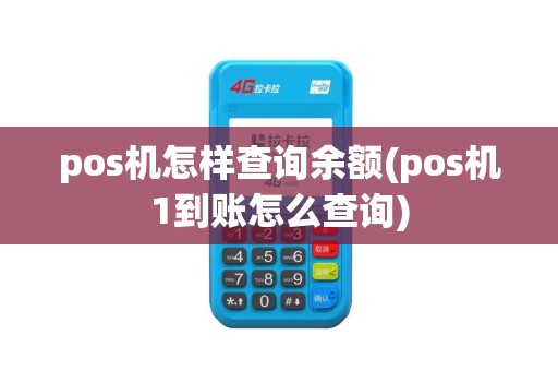 pos机怎样查询余额(pos机1到账怎么查询)