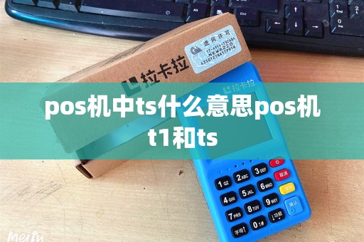 pos机中ts什么意思pos机t1和ts