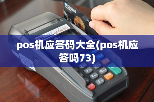 pos机应答码大全(pos机应答吗73)