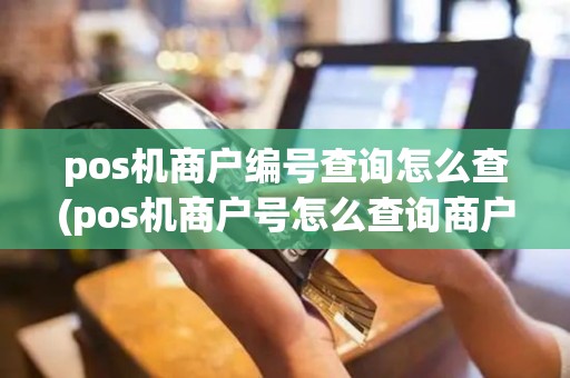 pos机商户编号查询怎么查(pos机商户号怎么查询商户)