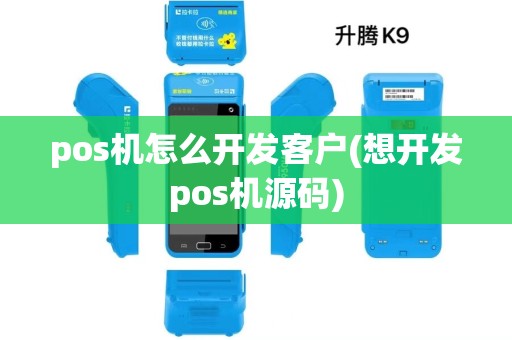 pos机怎么开发客户(想开发pos机源码)