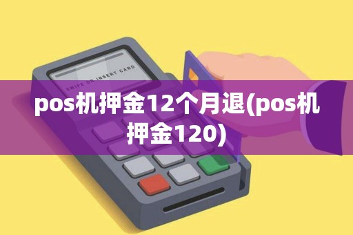 pos机押金12个月退(pos机押金120)