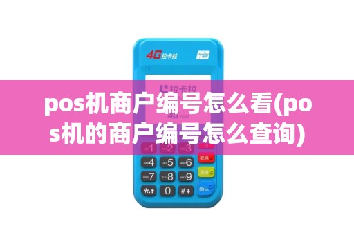 pos机商户编号怎么看(pos机的商户编号怎么查询)