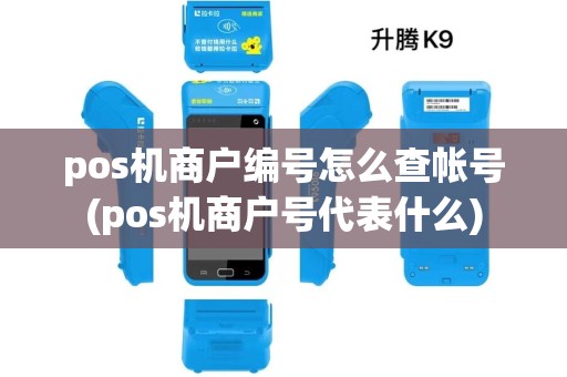 pos机商户编号怎么查帐号(pos机商户号代表什么)