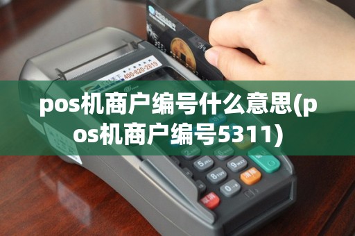 pos机商户编号什么意思(pos机商户编号5311)