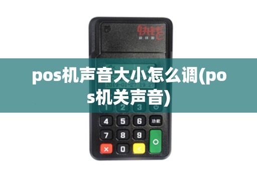 pos机声音大小怎么调(pos机关声音)