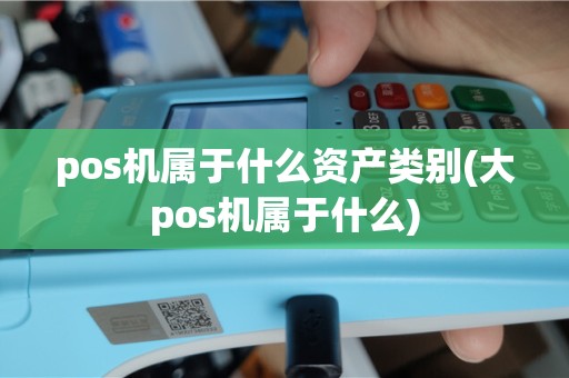 pos机属于什么资产类别(大pos机属于什么)