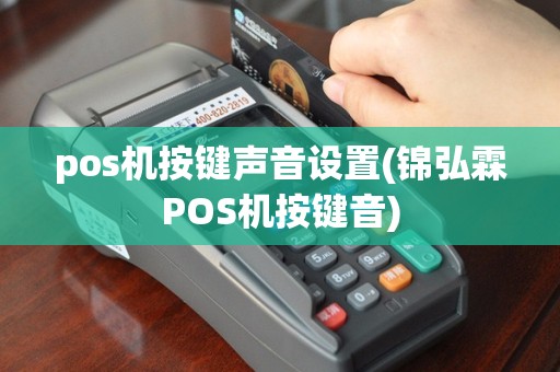 pos机按键声音设置(锦弘霖POS机按键音)