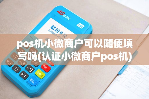 pos机小微商户可以随便填写吗(认证小微商户pos机)