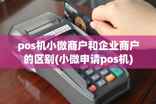 pos机小微商户和企业商户的区别(小微申请pos机)