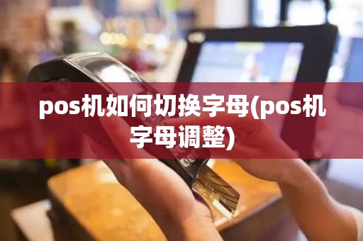 pos机如何切换字母(pos机字母调整)