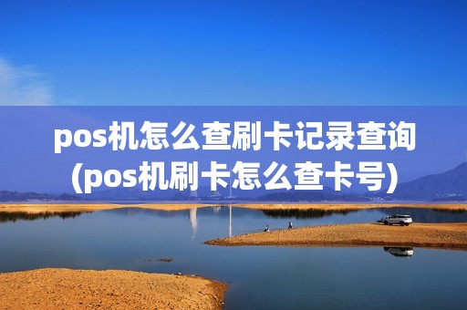 pos机怎么查刷卡记录查询(pos机刷卡怎么查卡号)