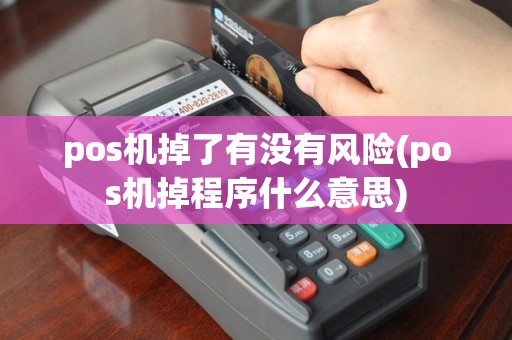 pos机掉了有没有风险(pos机掉程序什么意思)