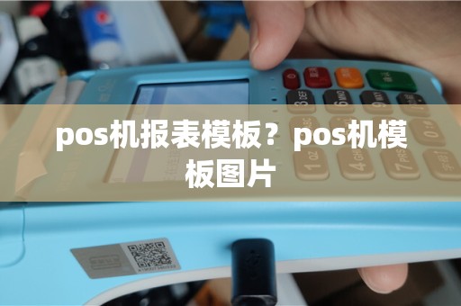 pos机报表模板？pos机模板图片