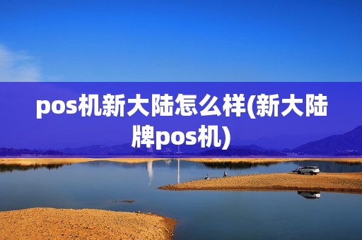 pos机新大陆怎么样(新大陆牌pos机)