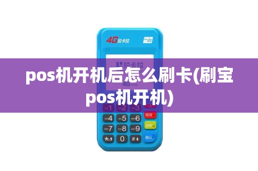pos机开机后怎么刷卡(刷宝pos机开机)