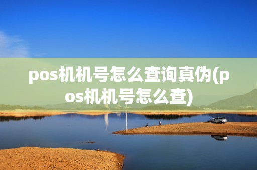 pos机机号怎么查询真伪(pos机机号怎么查)