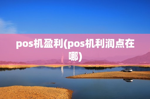 pos机盈利(pos机利润点在哪)
