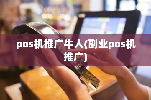 pos机推广牛人(副业pos机推广)