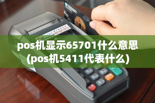 pos机显示65701什么意思(pos机5411代表什么)