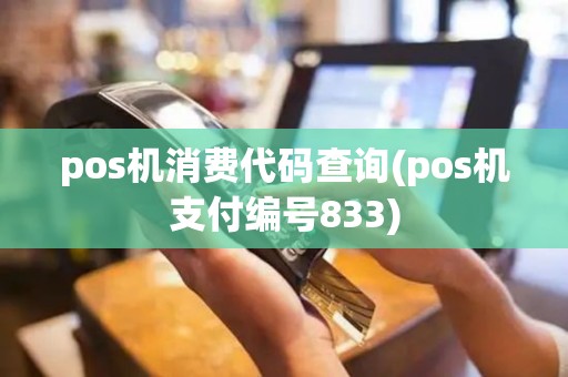 pos机消费代码查询(pos机支付编号833)