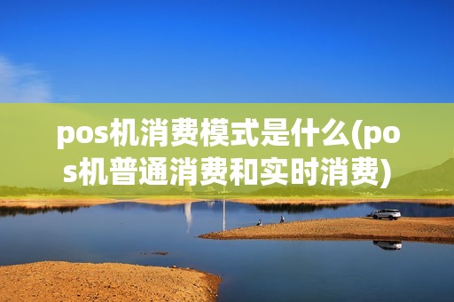 pos机消费模式是什么(pos机普通消费和实时消费)