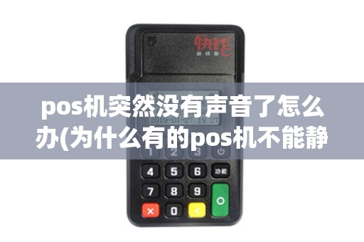 pos机突然没有声音了怎么办(为什么有的pos机不能静音)
