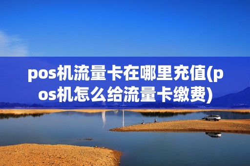 pos机流量卡在哪里充值(pos机怎么给流量卡缴费)