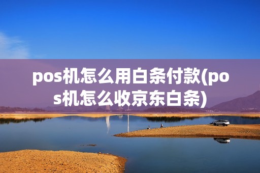pos机怎么用白条付款(pos机怎么收京东白条)