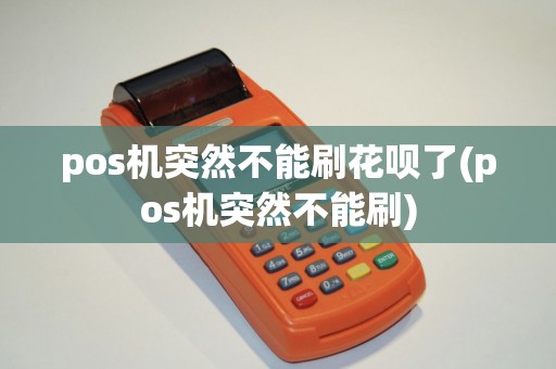 pos机突然不能刷花呗了(pos机突然不能刷)