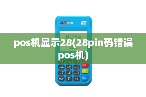 pos机显示28(28pin码错误pos机)
