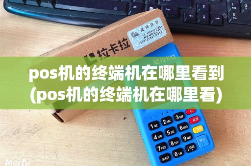 pos机的终端机在哪里看到(pos机的终端机在哪里看)