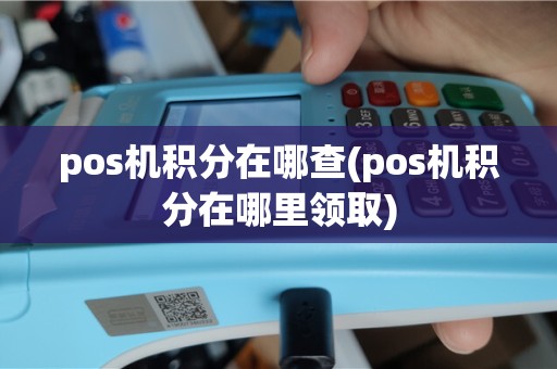 pos机积分在哪查(pos机积分在哪里领取)