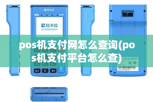 pos机支付网怎么查询(pos机支付平台怎么查)