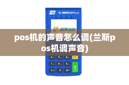 pos机的声音怎么调(兰斯pos机调声音)