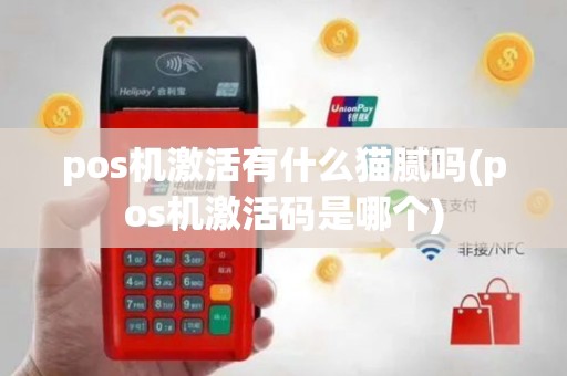 pos机激活有什么猫腻吗(pos机激活码是哪个)
