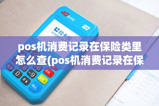 pos机消费记录在保险类里怎么查(pos机消费记录在保险类)