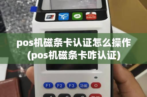 pos机磁条卡认证怎么操作(pos机磁条卡咋认证)