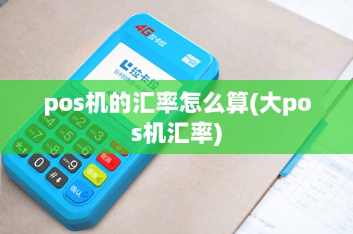 pos机的汇率怎么算(大pos机汇率)